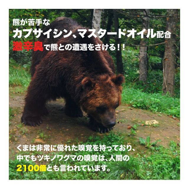 photo2