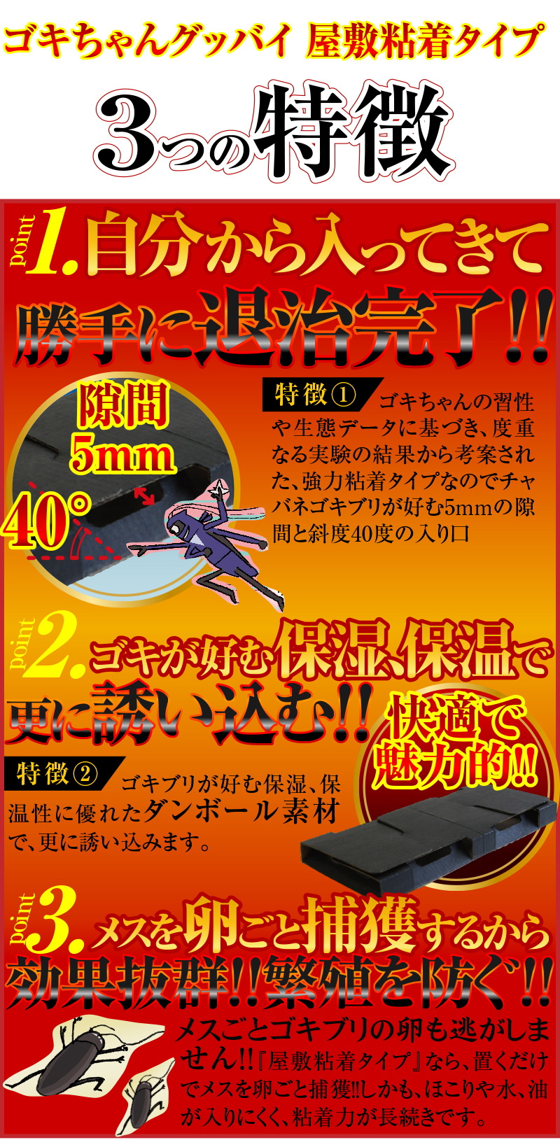 photo3
