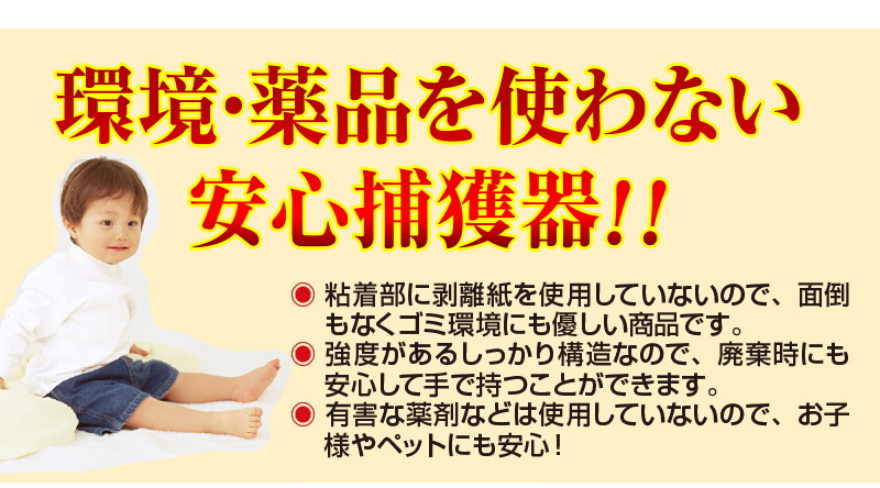 photo5