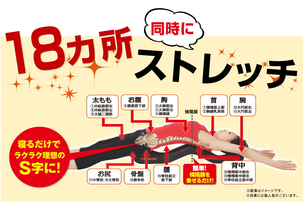 好評 エスレッチングポール エクササイズ用品 好評 エスレッチングポール エクササイズ用品