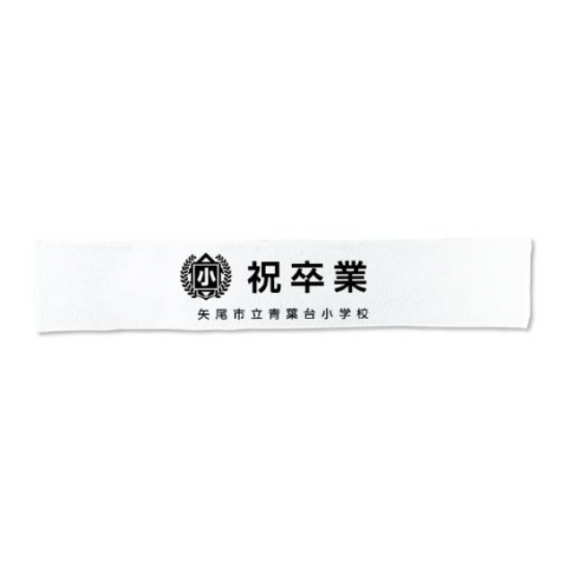 photo2