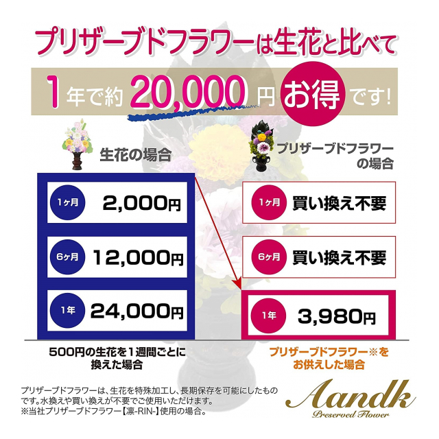 photo2