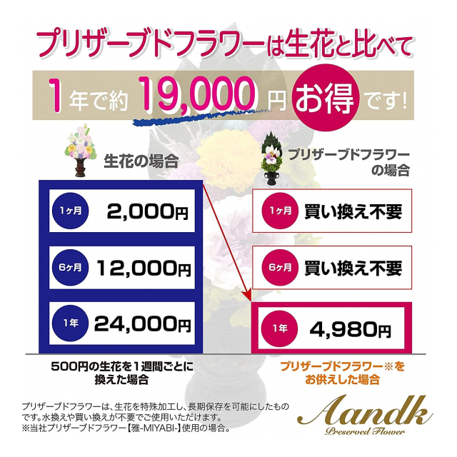 photo2