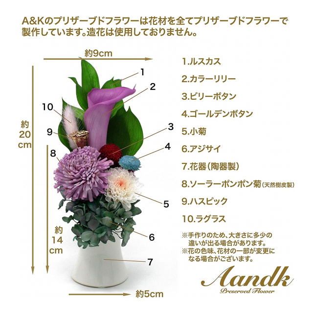 photo4