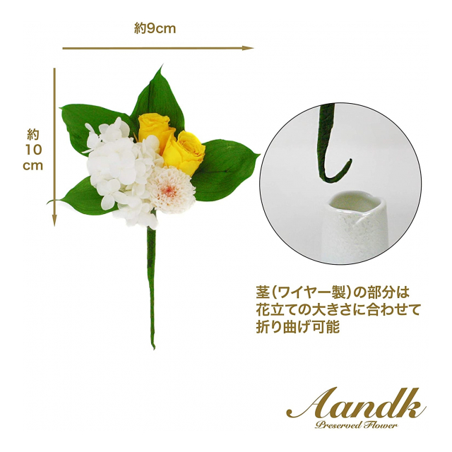photo5