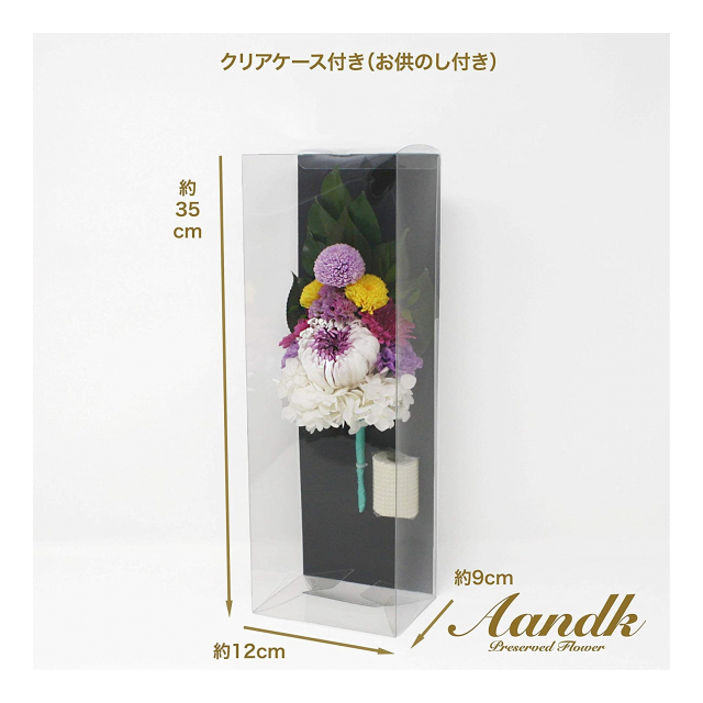 photo3