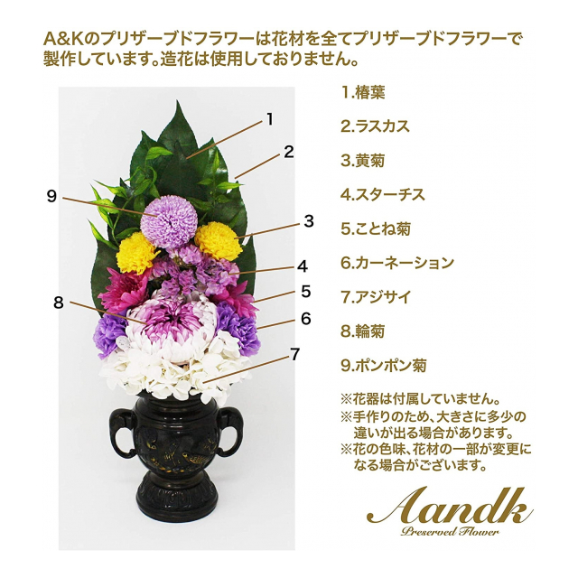 photo4