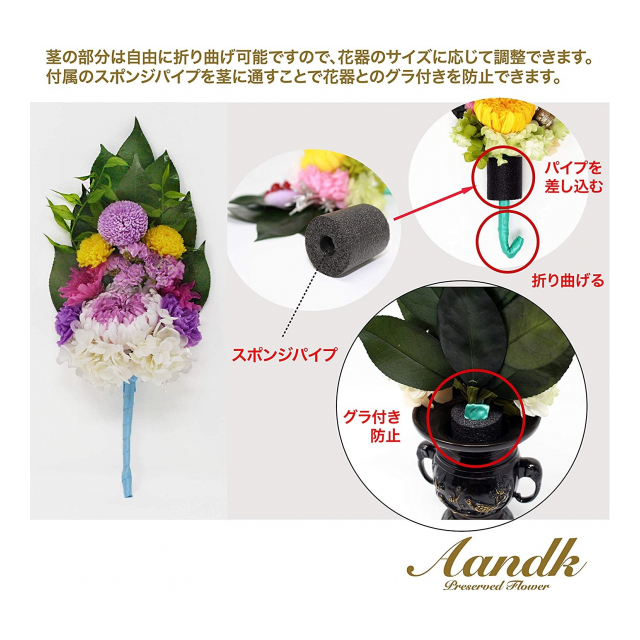 photo5