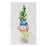 榊 プレミアム榊M SKK-004PM