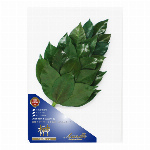 榊 プレミアム榊S SKK-005PS