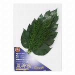 榊 プレミアム榊SS SKK-007SS