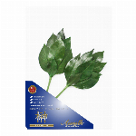 榊 プレミアム榊MV SKK-006PV