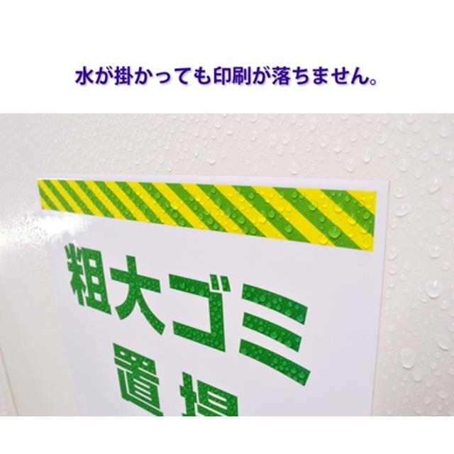 photo3
