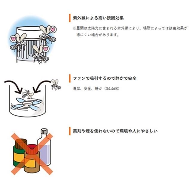 photo2