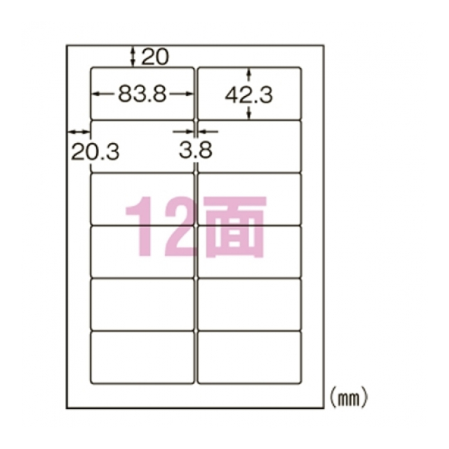 photo1