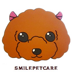 photo1