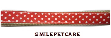 photo2