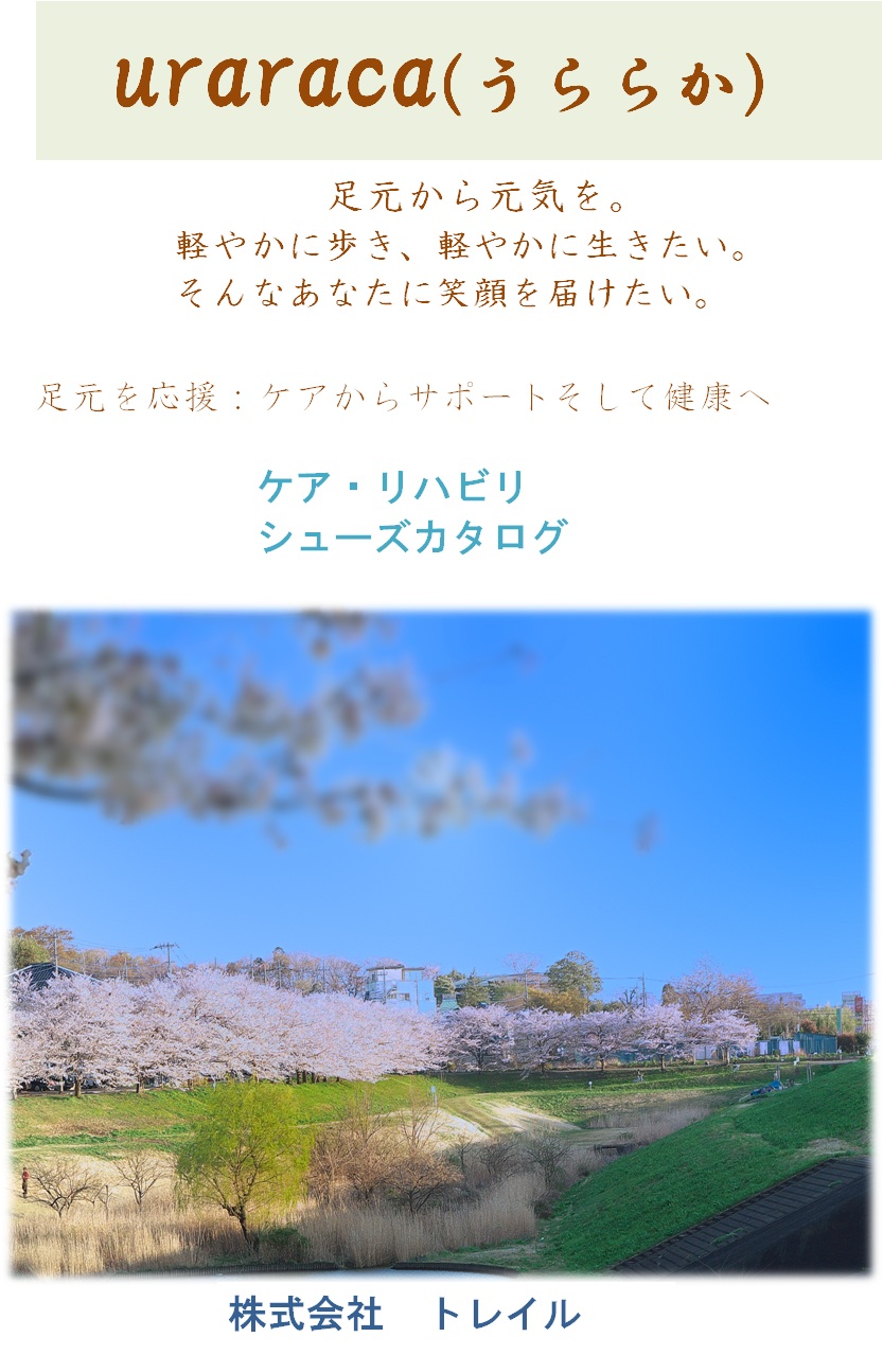 photo4