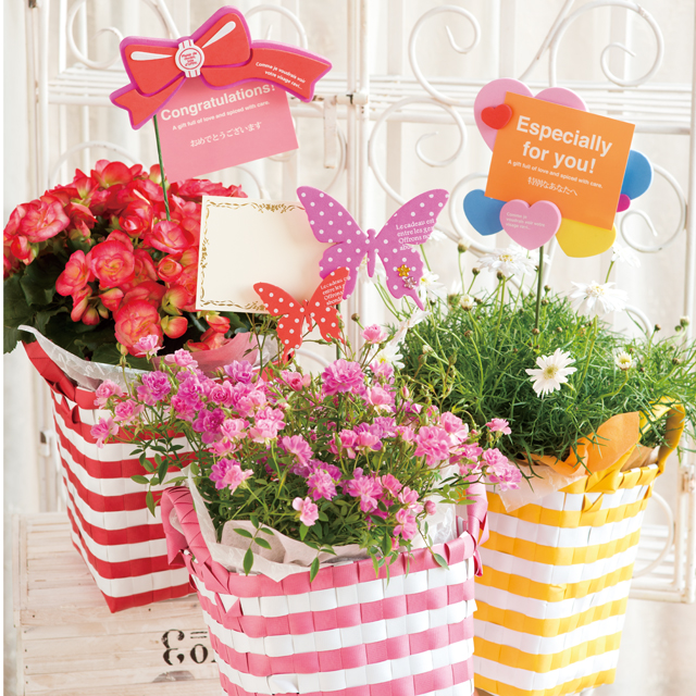 ピックペーパー草 専用ペンジ ピックペーパー草 専用ペンジ ピックペーパー草 専用ペンジ トップス
