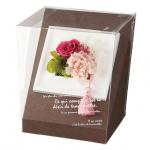 ホワイトワイヤーバードケージ−Ｓ