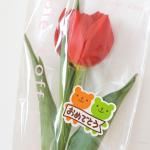 ウサクマご卒園おめでとうシール