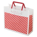 チェックペーパーバッグ-2