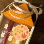 アニマルダイカットボックス−１／クマ