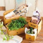 カンパーニュウッドレターＢＯＸ−Ｓ