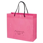 ロマンチックスイートＰＰバッグ-1