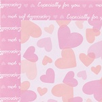 フェルトおうちギフトボックス／レッド-Ｍ