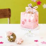 シュシュエル／マスコット