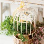 メープルウッド引き出しＢＯＸ−Ｍ