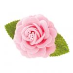 ペーパーカラフルフルリール−Ｍ／アイボリー−５