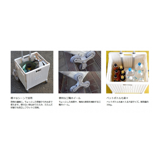 photo7
