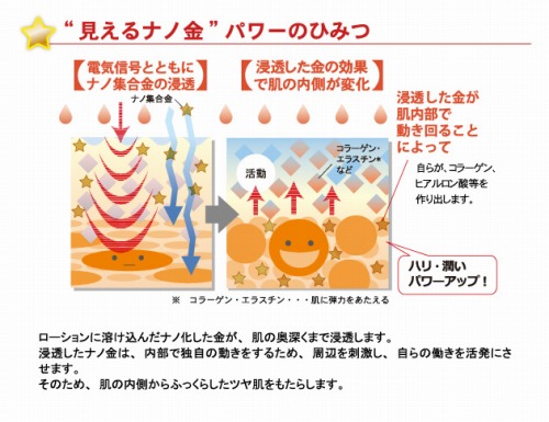 photo2
