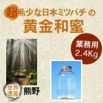 プロ必見/業務用/食品原料/非加熱/野生日本みつばちの蜂蜜/和歌山県２．４kg