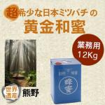 プロ必見/業務用/食品原料/非加熱/野生日本みつばちの蜂蜜/和歌山県産１２kg