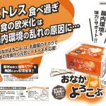 べジフルスムージダイエット健康補助食品300g(計量スプーン付) 60袋セット