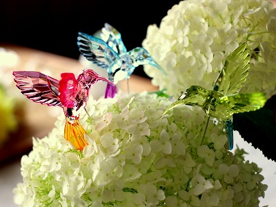 photo3