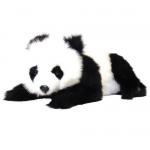 安全性・本物のような質感・感触にこだわった HANSA 製品『子ジャイアントパンダ 62』