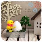 ひよこのひーちゃんの卵小物入れ