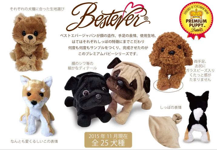 プレミアムパピー チワワ ブラック&タン - （株）ベストエバージャパン