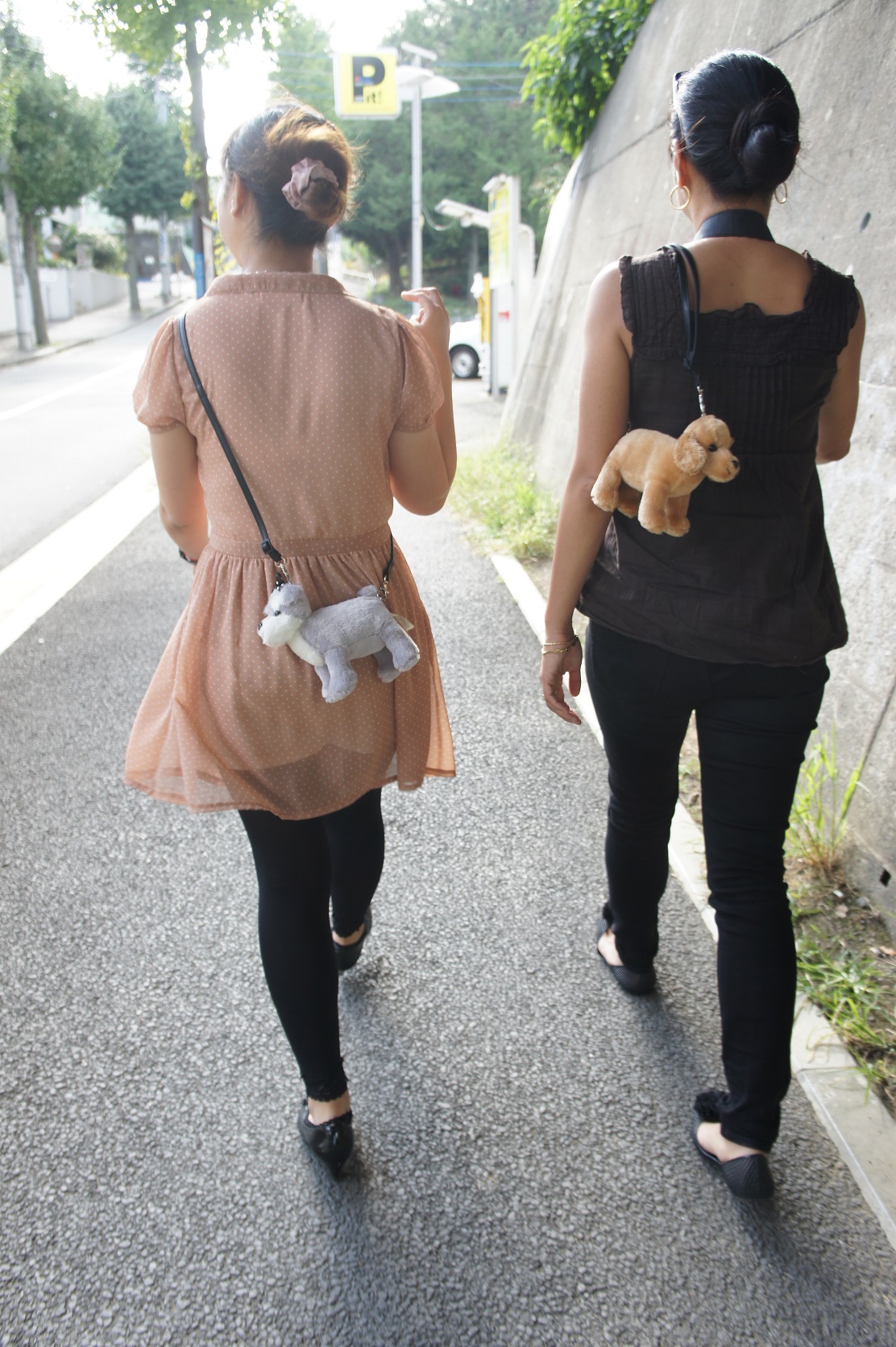 photo6