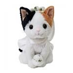 プレミアムキティ　ロシアンブルー