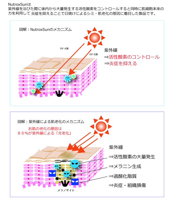 mamoru  tryme 塗るから飲むの新習慣 ニュートロックスサン mamoru tryme 塗るから飲むの新習慣 ニュートロックスサン TRY ME