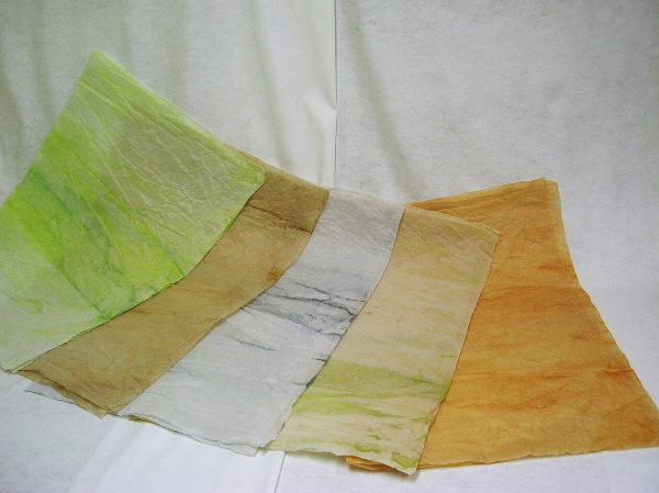 photo3