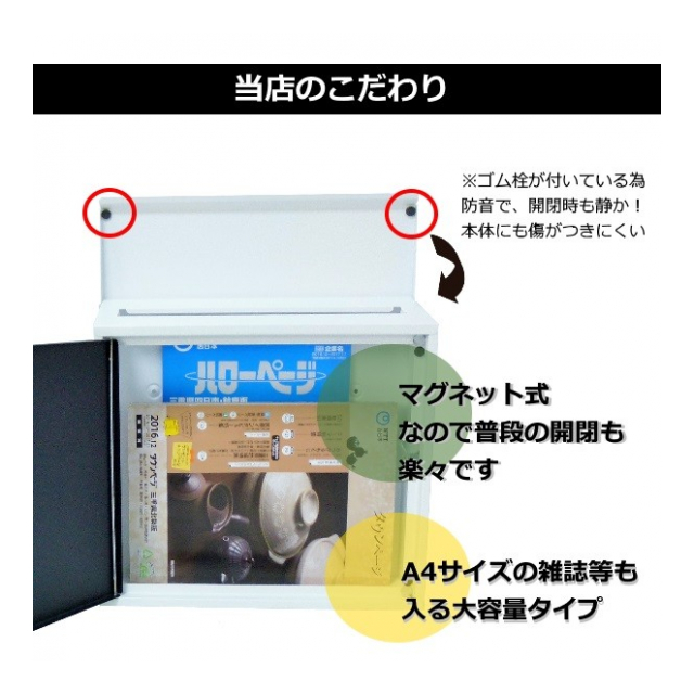 photo8