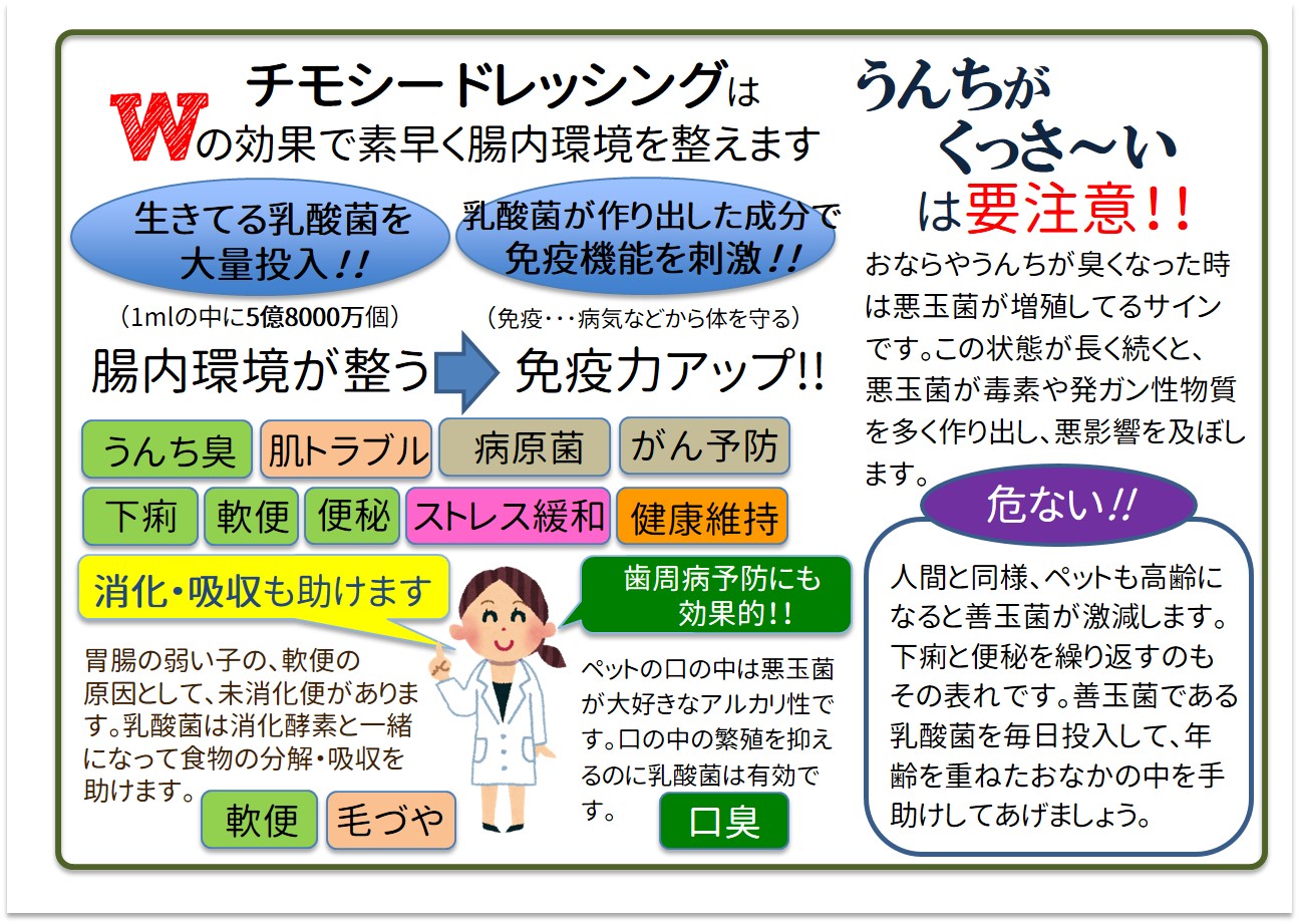 下痢予防の新兵器 チモシードレッシング うさぎ用 株式会社kimamori 品番 4126 の卸 問屋 仕入れ 卸売り ザッカネット 下痢予防の新兵器 チモシードレッシング うさぎ用 株式会社kimamori 品番 4126 の卸 問屋 仕入れ 卸売り ザッカネット