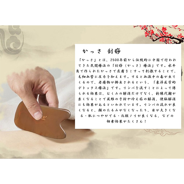 photo5