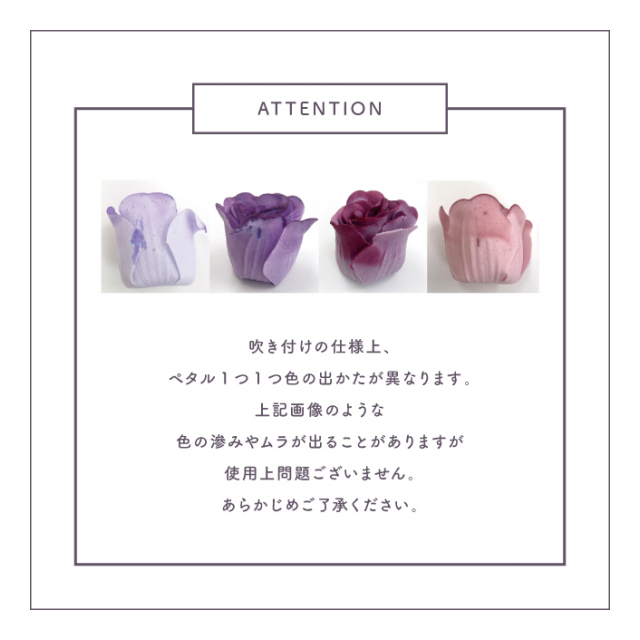 photo7